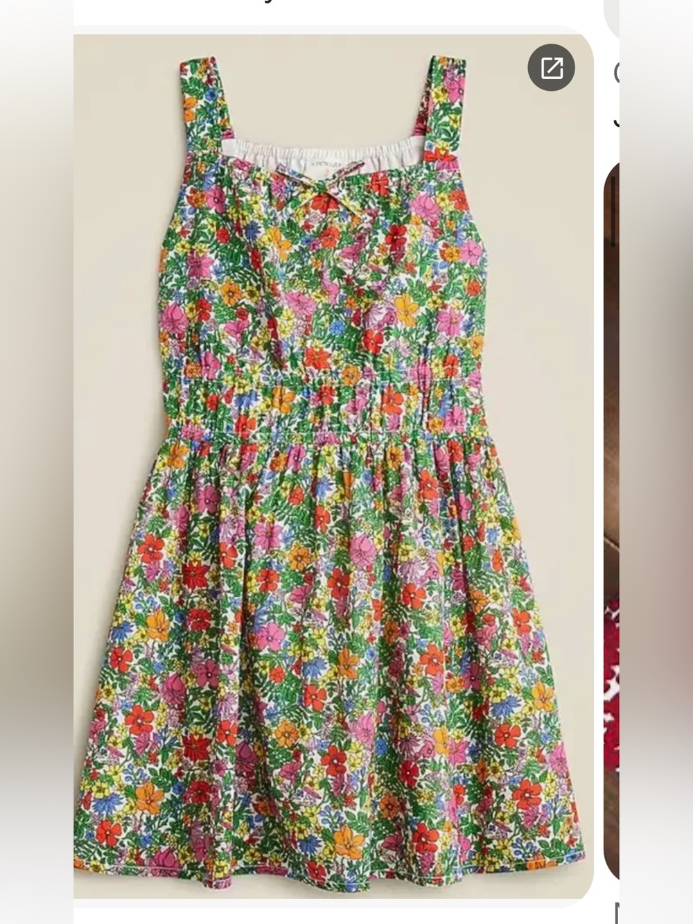 Crewcuts Floral Dress